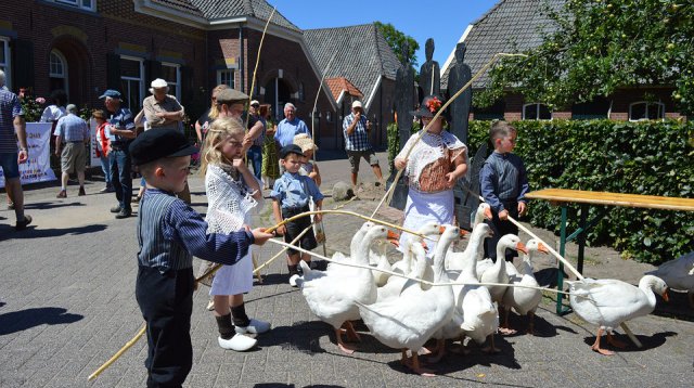 Ganzenmarkt (zondag  1 juli 2018)
